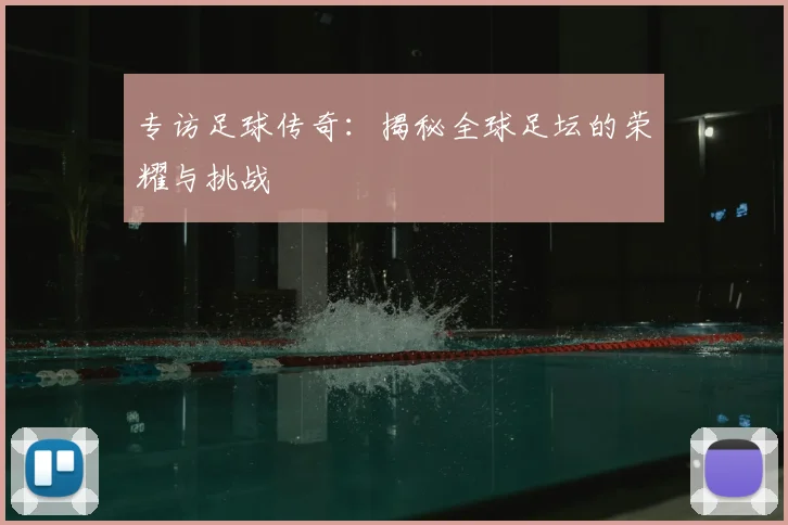专访足球传奇:揭秘全球足坛的荣耀与挑战